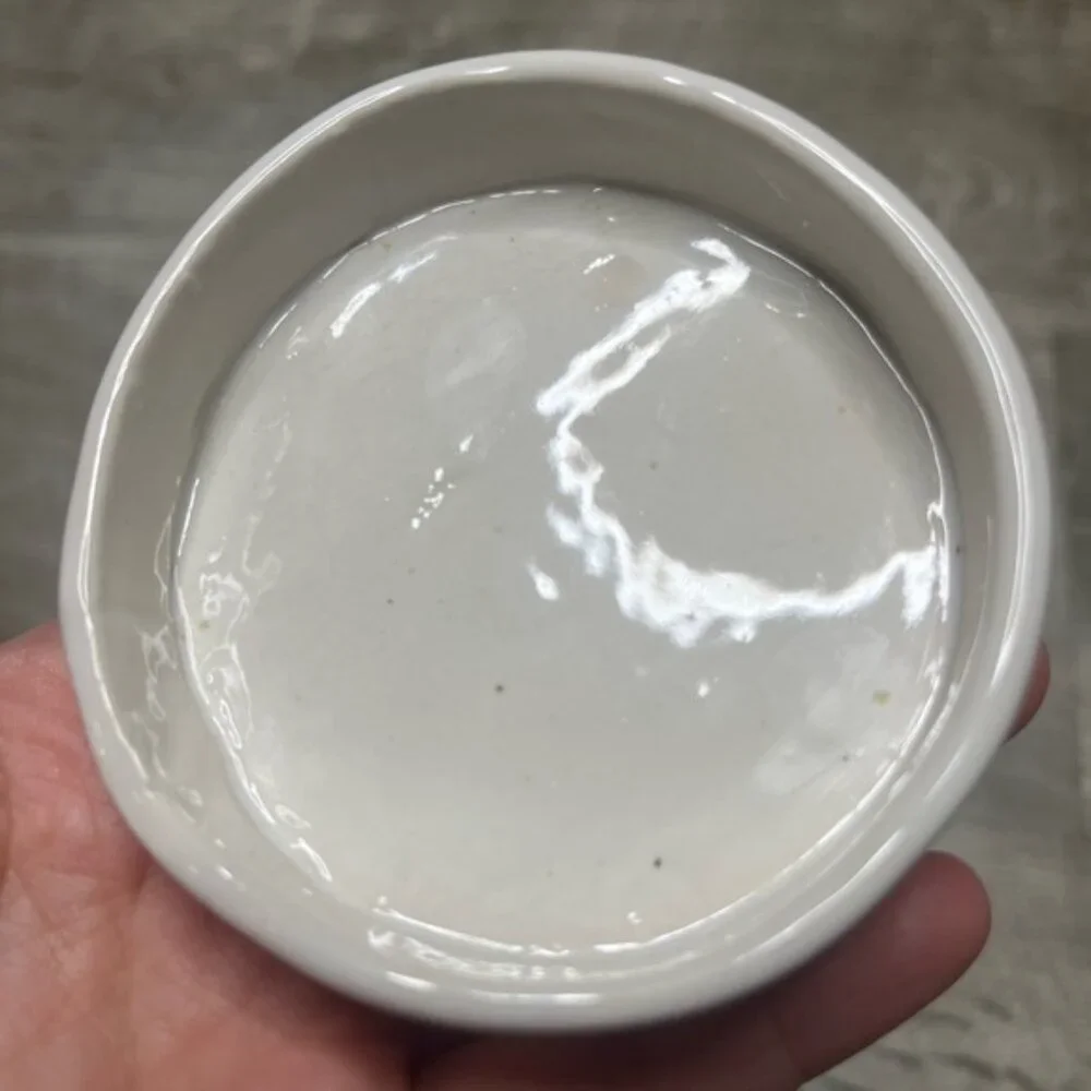 Handmade Circular Ceramic Reptile Dish